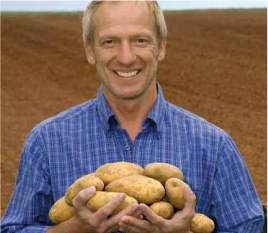 Gesunde Kartoffeln